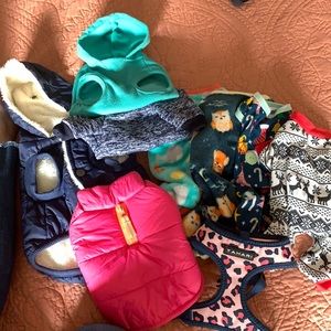 Bundle of XS Dog Clothes and accessories